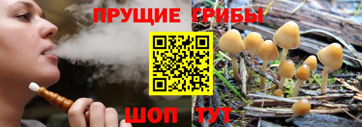 Псилоцибиновые грибы Psilocybine cubensis  Вход с VPN  Комсомольск-на-Амуре 